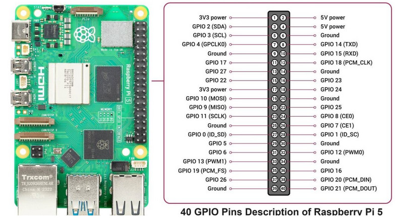 pinout Raspberry